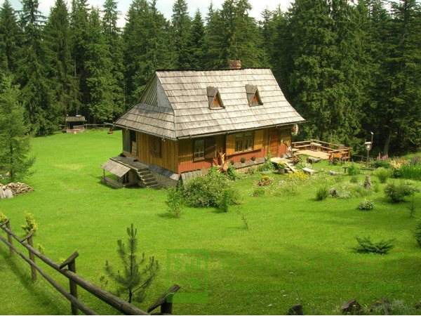 Основные особенности