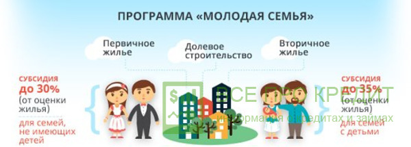 Особенности государственной программы