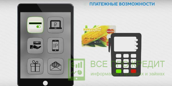 Развитая система платежного кабинета позволяет беспрепятственно собирать и обменивать бонусы
